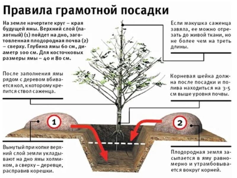 Работа на даче в октябре: список необходимых дел